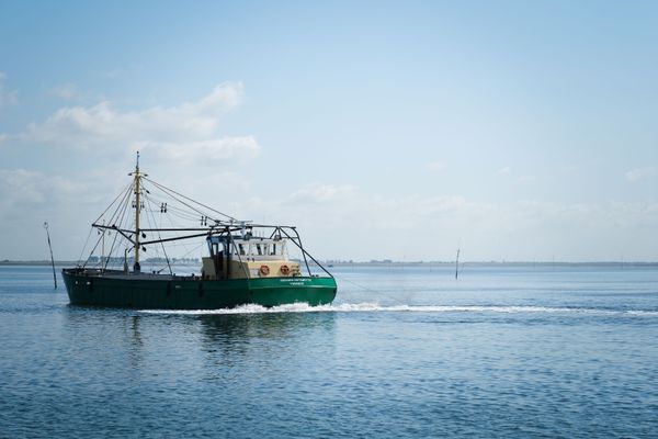 Mossel trip / Mosselkotter