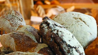 Video Een Kijkje In De Bakkerij Van Vlaamsch Broodhuys Culy Nl