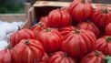 coeur de boeuf tomaat stock pexels