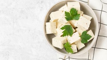 Paneer