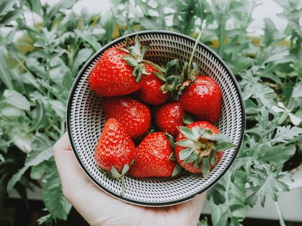 Verse aardbeien in schaaltje