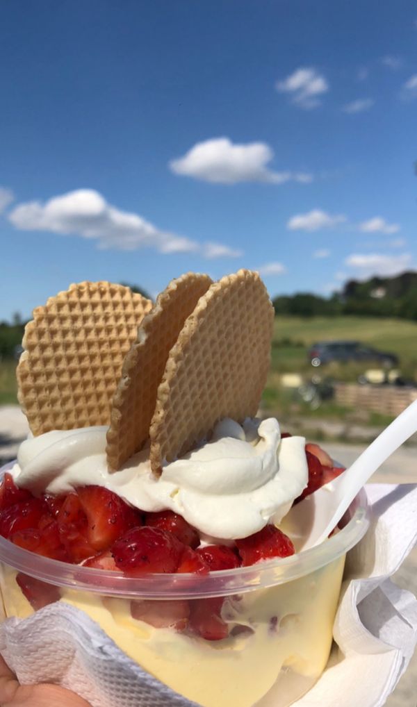 Wingerbergerhoeve_Limburg_1