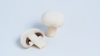 Champignons
