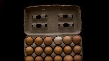 produceren gelijktijdig Oost Dit is het verschil tussen bruine en witte eieren - Culy.nl