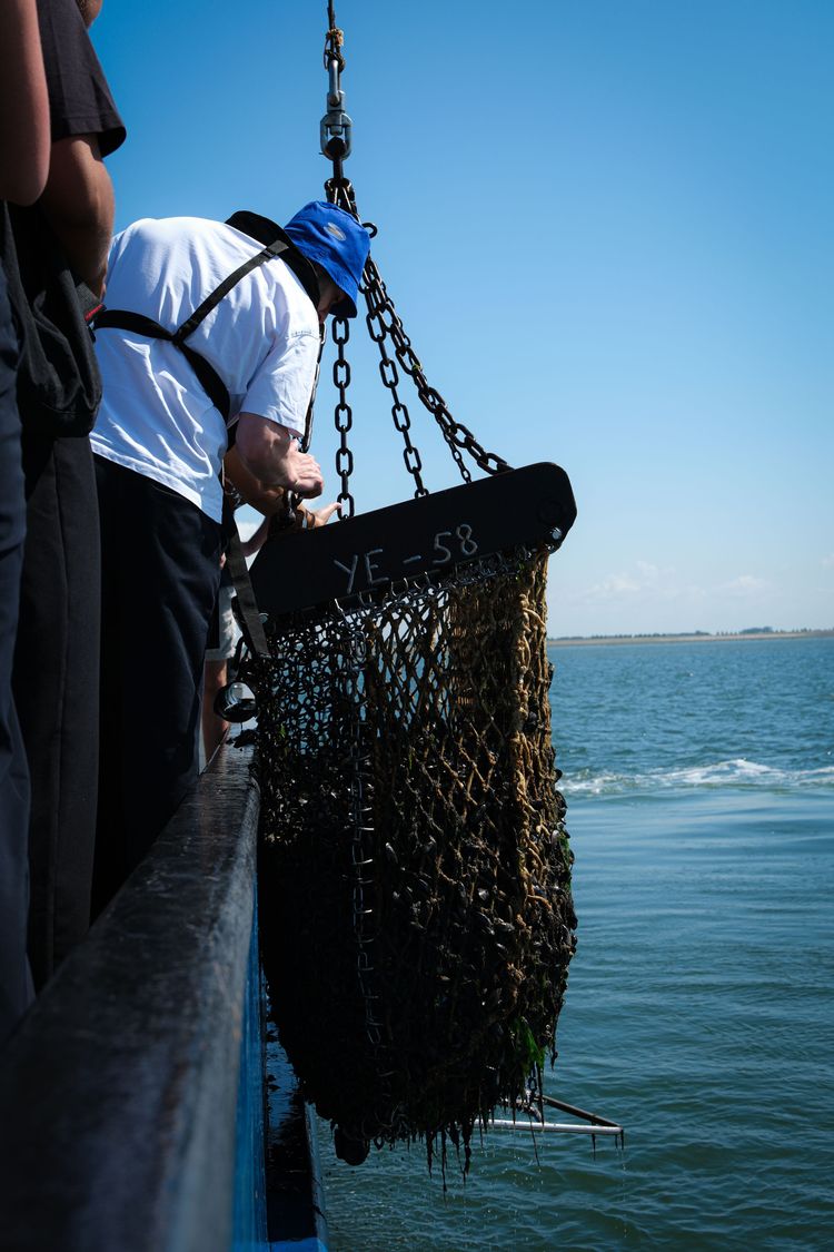 Mossel trip / mosseloogst
