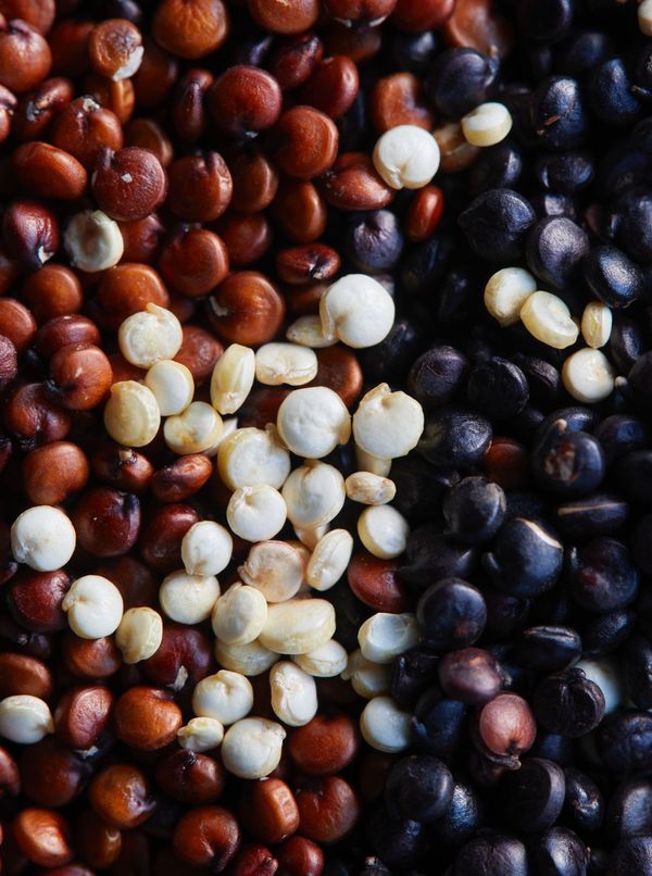 quinoa