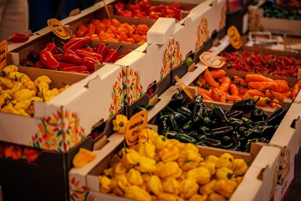 Dutch Chili Fest Eindhoven
