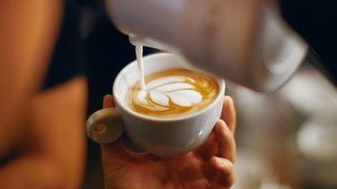 Melkopklopper schoonmaken