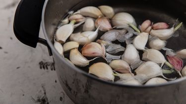 Tip Rauwe Knoflook Blancheren Om Een Knoflookadem Te Voorkomen Culy Nl