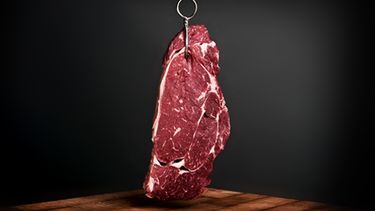 nek Draak fysiek Het duurste vlees ter wereld wordt maar liefst 15 (!) jaar gerijpt - Culy.nl