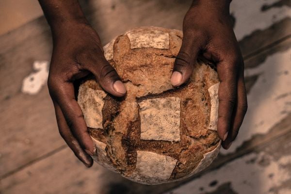 patroon in je brood stock pexels