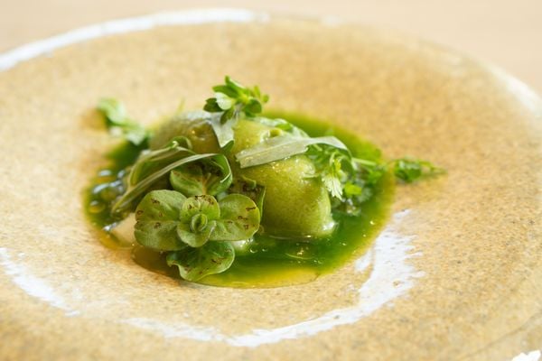 IJs van zuring met granny smith bij Bolenius