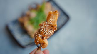 Yakitorispiesjes