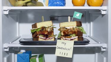 Moist Maker sandwich uit Friends