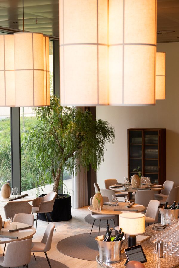 Earth Day Diner bij Bolenius Rembrandtpark
