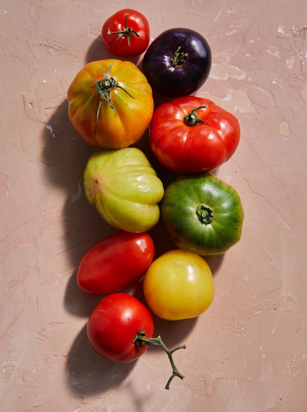 tomaten