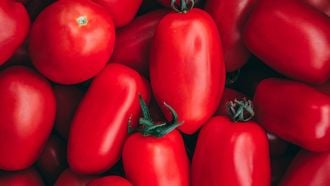 San Marzano tomaten