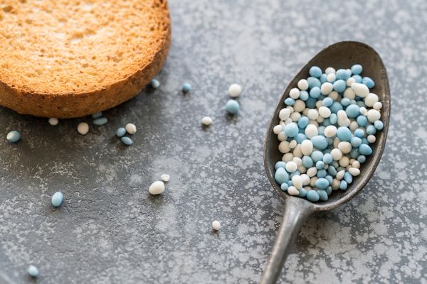 Beschuit met muisjes
