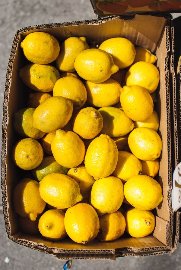citroenen invriezen stock unsplash