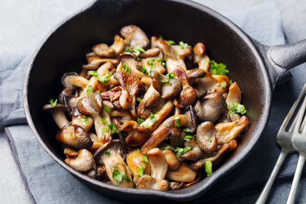 champignons bakken
