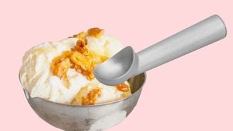 beste ijsschep kopen