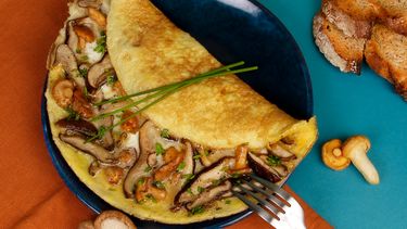 Europese champignons