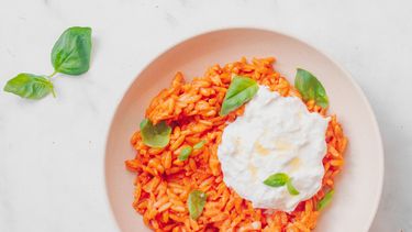 Orzo alla vodka met burrata / makkelijke pasta