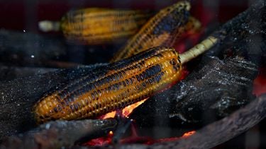 hoelang mais koken