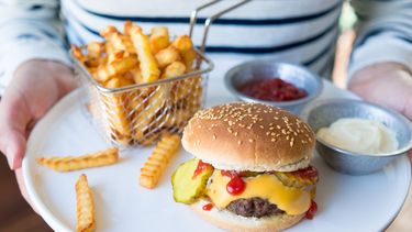 cheeseburger & frietjes