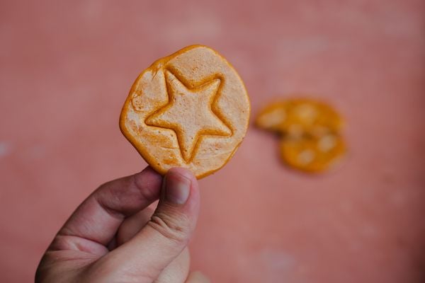 Squid Game Koekje