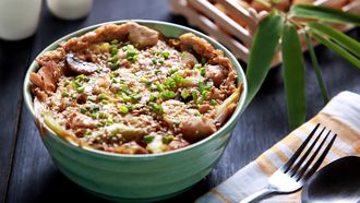 portrtait of japanese rice bowl dish oyakodon