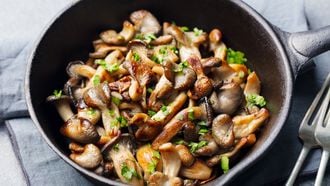 champignons bakken