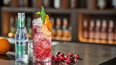 Afbeelding cocktail voor Kerst: gin-tonic met cranberry