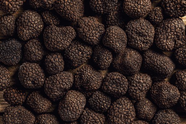 Truffels