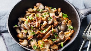 champignons bakken