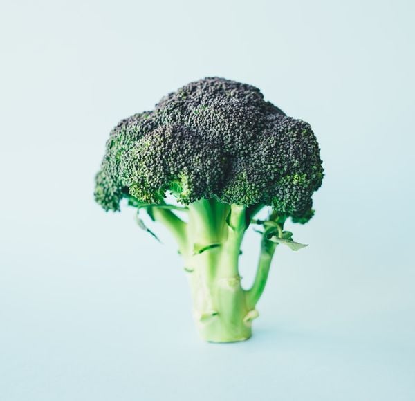 Broccoli-koken