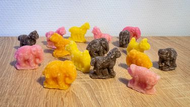 Suikerbeestjes sinterklaas