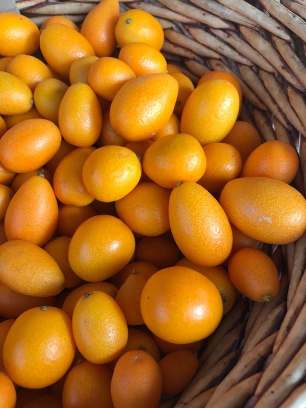 kumquat stock unsplash