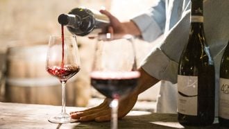 Primitivo uit Puglia (wijntip van de week)
