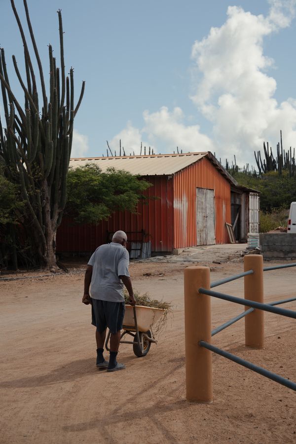 Aruba
