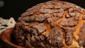 concha zoals bij Flour Shop Amsterdam