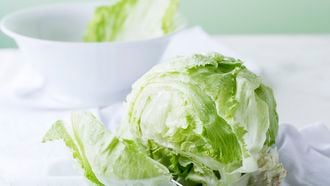 houdbaarheid van sla kropsla