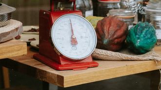 Beste keukenweegschaal