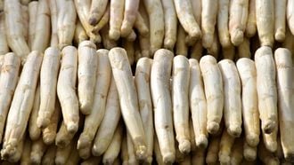 Witte asperges kopen tips