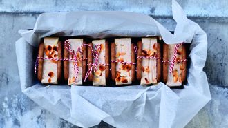 IJssandwich met speculaas
