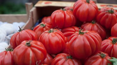coeur de boeuf tomaat stock pexels