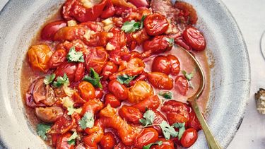 salade rode paprika tomaat claudia roden