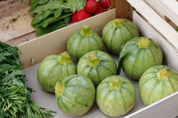 courgettes om courgetteboter van te maken