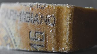 five-ages-of-parmegiano-reggiano-massimo-bottura.