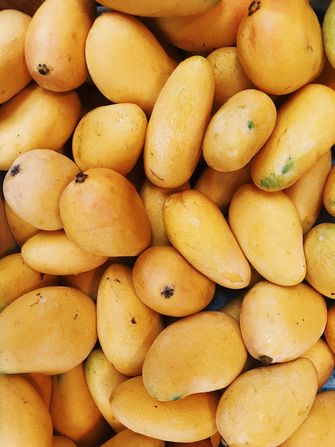Gele mango pakistaanse